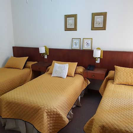 Hotel Riviera 贝纳多图埃托 外观 照片